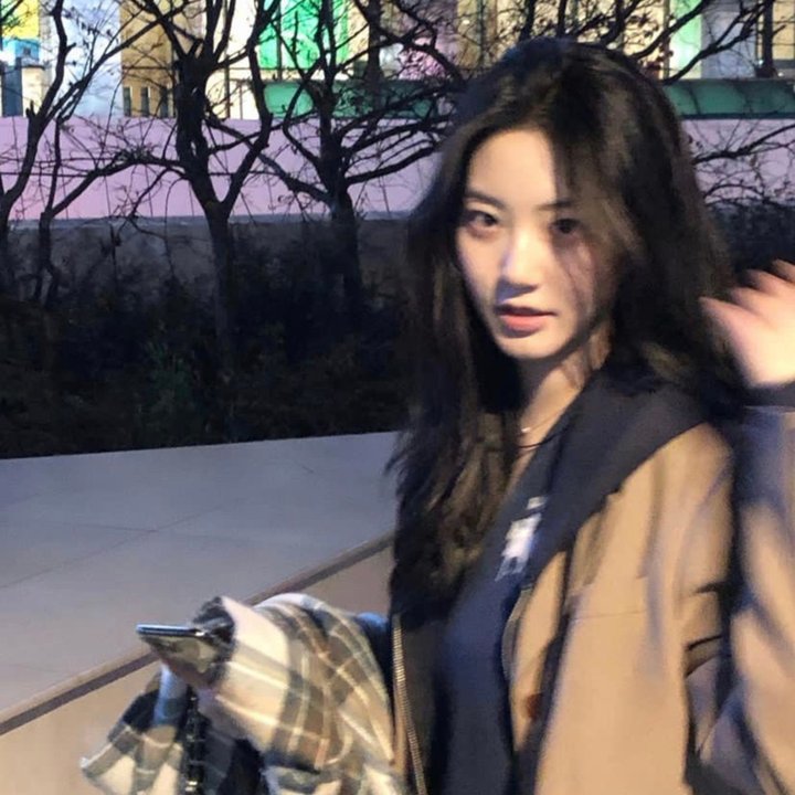 我的单板女孩第一季 在线观看封面