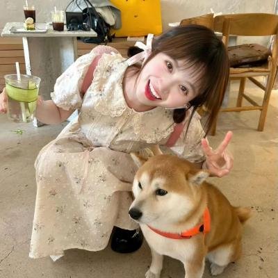 梦幻气泡 在线观看封面